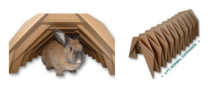Cardboard Rabbit Tunnel