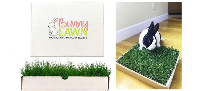 Rabbit Grass Mat