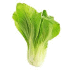 This image has an empty alt attribute; its file name is BokChoy70X70.png