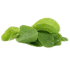 This image has an empty alt attribute; its file name is Borage70X70.png