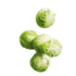 This image has an empty alt attribute; its file name is Brusselsprouts70X70.png