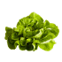 This image has an empty alt attribute; its file name is Butterlettuce70X70.png