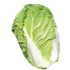 This image has an empty alt attribute; its file name is Napacabbage0X70.png