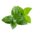 This image has an empty alt attribute; its file name is Peppermint70X70-1.png