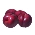 This image has an empty alt attribute; its file name is Plums70X70.jpg