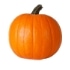 This image has an empty alt attribute; its file name is Pumpkin0X70.jpg