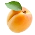 This image has an empty alt attribute; its file name is apricot70X70.jpg
