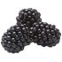 This image has an empty alt attribute; its file name is blackberries70X70.jpg