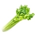 This image has an empty alt attribute; its file name is celery70X70-1.jpg
