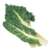 This image has an empty alt attribute; its file name is chard70X70.png