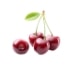 This image has an empty alt attribute; its file name is cherries70X70.jpg