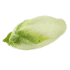 This image has an empty alt attribute; its file name is chicory70X70.png