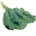 This image has an empty alt attribute; its file name is collardgreens70X70-Copy.png