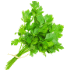 This image has an empty alt attribute; its file name is coriander70X70-Copy.png
