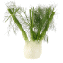 This image has an empty alt attribute; its file name is fennel70X70.png