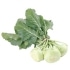 This image has an empty alt attribute; its file name is kohlrabi70X70.jpg