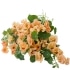 This image has an empty alt attribute; its file name is nasturtium70X70.jpg