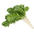 This image has an empty alt attribute; its file name is radish-greens70X70.png