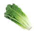 This image has an empty alt attribute; its file name is romainelettuce70X70.png