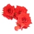 This image has an empty alt attribute; its file name is roses70X70.jpg