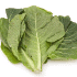 This image has an empty alt attribute; its file name is springgreens70X70.png