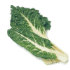 This image has an empty alt attribute; its file name is swisschard70X70.png