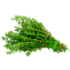 This image has an empty alt attribute; its file name is thyme70X70-1.png