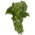 This image has an empty alt attribute; its file name is turnipgreens70X70-1.png