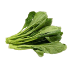 This image has an empty alt attribute; its file name is yuchoy70X70.png